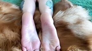"Sexy feet and toes Dominatrix Nika. Foot fetish, fur fetish. Beautiful legs and feet "