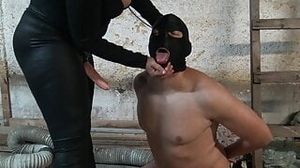 Arab Iraqi Cuckold Wife Makes Husband Sucking Dick